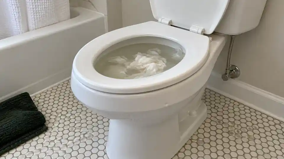 Before clogged toilet service inspection and setup in Bremerton