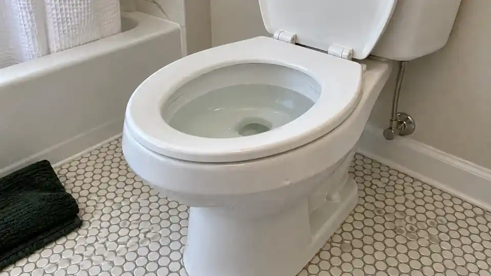 After clogged toilet service cleared pipe verification in Bremerton
